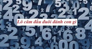 Kinh nghiệm nuôi cầu khi lô ra theo đuôi câm